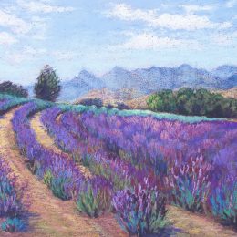 Lavender near Boonah (Pastel)
