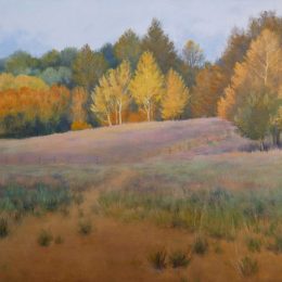 Autumn's Golden Veil