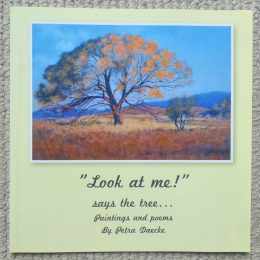Book: Look At Me