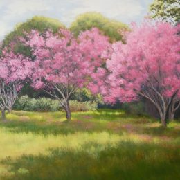 Spring Blossoms