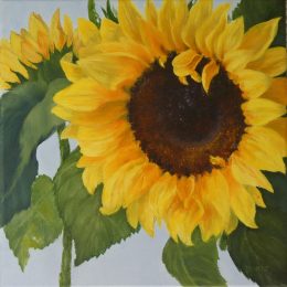 Sunflower Summer