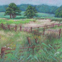 Summer Meadows