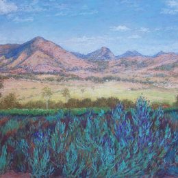 Beyond the Lavender