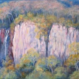 Springbrook Wilderness