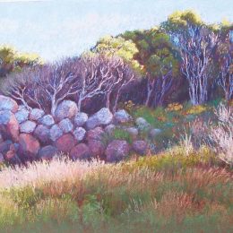 Burleigh Headlands