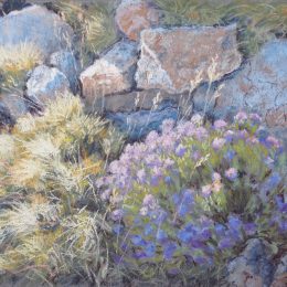 Beauty on stony Ground