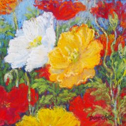 Iceland Poppies 2