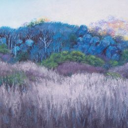 Last Light At the Headlands