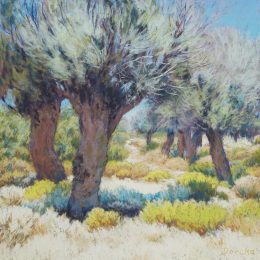 The Olive Grove