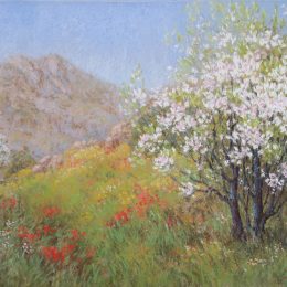 Almond Blossoms