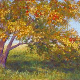 Apple Tree