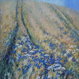 Cornflowers