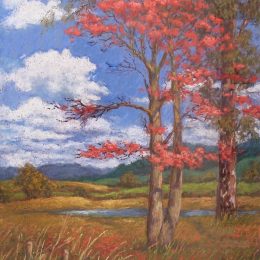 Flame Tree Twins