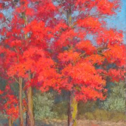 Flame Trees