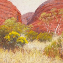 Hiking through the Olgas