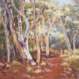 Into the Bush