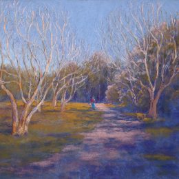 Pecan Trees