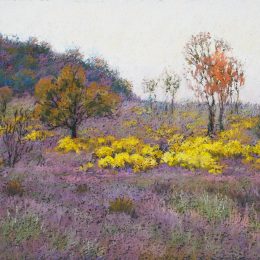 Purple Fields