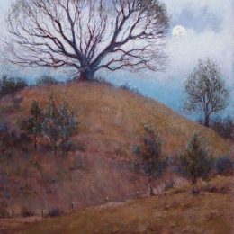 The Tree on the Hill
