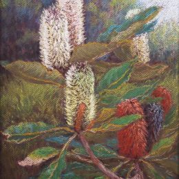 Banksias