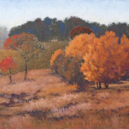 Farm Stay near Armidale