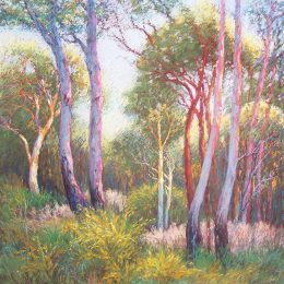 Last Light in Bushland