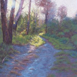 Morning Walk
