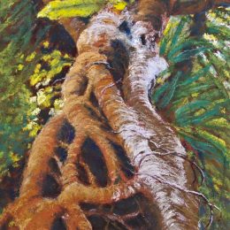 Strangler Fig