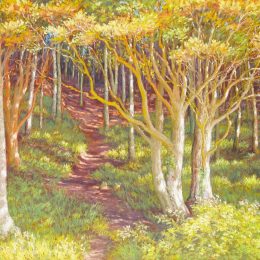 The mysterious Forest