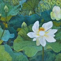 Lotus