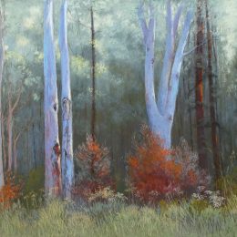 Magic of the Bush