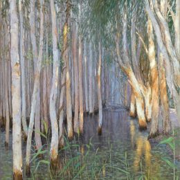 Paperbark Trees 2