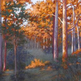 Evening Sun