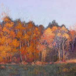 Last Rays of Autumn Sun